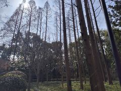 -徐家汇源景区-衡山公园