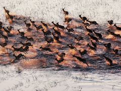 -罗红摄影艺术馆