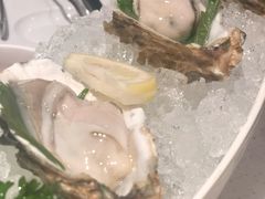 精品生蚝-海底捞火锅(龙岗星河COCO Park店)