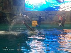 -威海华夏城景区