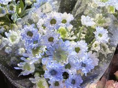 -循礼门鲜花花市(武汉循礼门店)