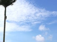 -霞山观海长廊