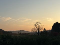 -塔川景区