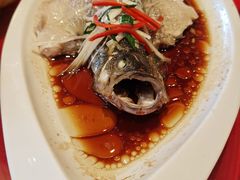 -飞鹿餐饮·陕南菜(北关店)