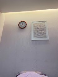 -SILKTONE诗丽堂美容