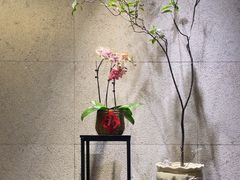 -王府茶楼茶宴·创意菜(大观园总店)