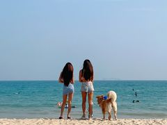 -西涌国际滨海旅游区