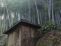 -山沟沟景区