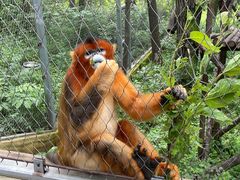 -哈尔滨北方森林动物园