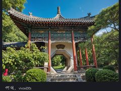 -迎泽公园