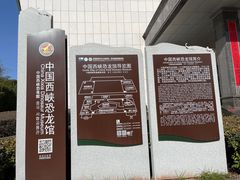 -中国西峡恐龙遗迹园