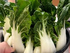 -好彩猪肚鸡(正弘城店)