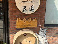 -豆逗聊愈猫阁Easy Life
