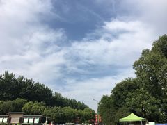 -合肥滨湖国家森林公园