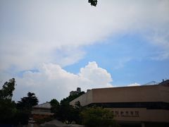 正门往外看-华东理工大学徐汇校区-图书馆