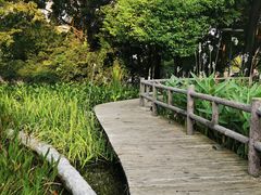 -成都市活水公园