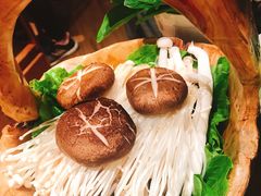 -捞王锅物料理(上海世茂广场店)