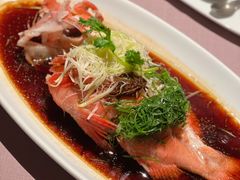 三十年陈皮蒸红瓜子斑-新荣记(湾仔店)