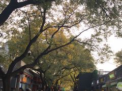 -天泽祥·鼓楼馒头(鼓楼店)