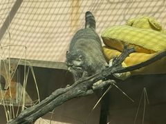 -青藏高原野生动物园