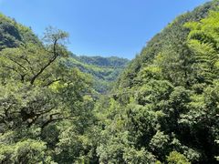 -磐安十八涡风景区