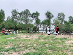 -东郊湿地公园
