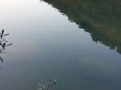 -四会奇石河风景区