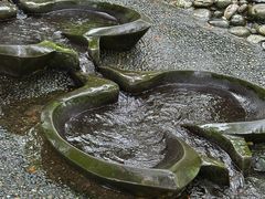 -成都市活水公园