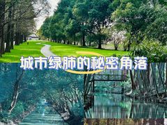 -同里国家湿地公园