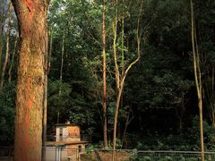 -火炉山森林公园