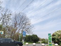 -九里河湿地公园