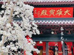 -灵谷景区