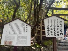 -野宫神社