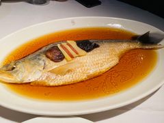 招牌中式清蒸鲥鱼-苏浙汇(古北店)