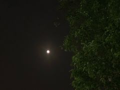 -暨南大学（石牌校区）明湖楼