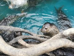 -华夏文旅海洋公园