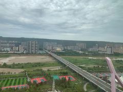 -小崔家臊子面(高新店)