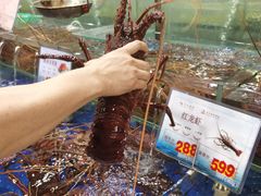 -东江海鲜酒家(艺都分店)
