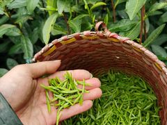 -东山风景区(洞庭东山)