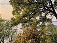 -湖南东洞庭湖国家级自然保护区