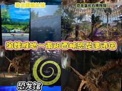 -中国西峡恐龙遗迹园