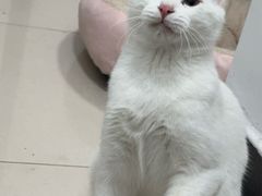 -太二酸菜鱼(石家庄万象城店)