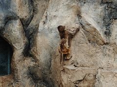 -青藏高原野生动物园