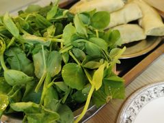荠菜百叶包-月圆火锅(宁海东路二店)