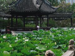 -上海醉白池公园