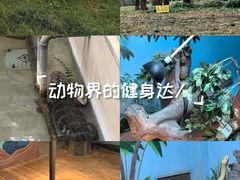 -石家庄市动物园