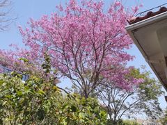 -厦门国家会计学院