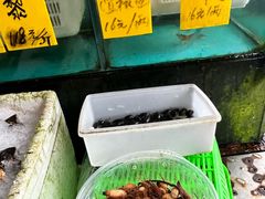 -崖口红树林海鲜餐厅