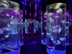 -成都浩海立方海洋公园