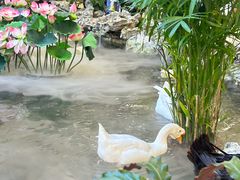 -赛格国际购物中心(小寨店)